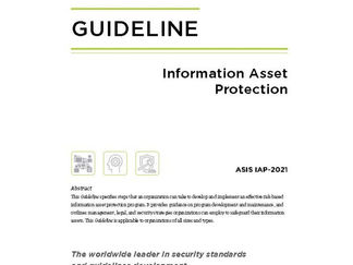 Presentación de la Guideline Information Assets Protection.