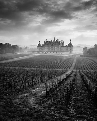 Visita nei Vigneti della Loira