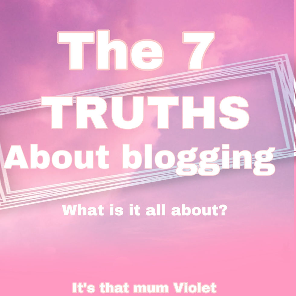 A bloggers truth