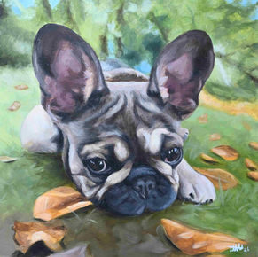 french bulldog portrait