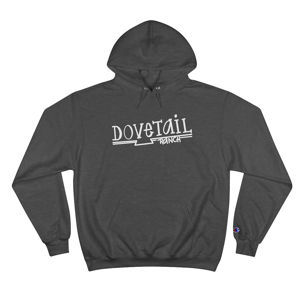 Thumbnail: Champion Hoodie