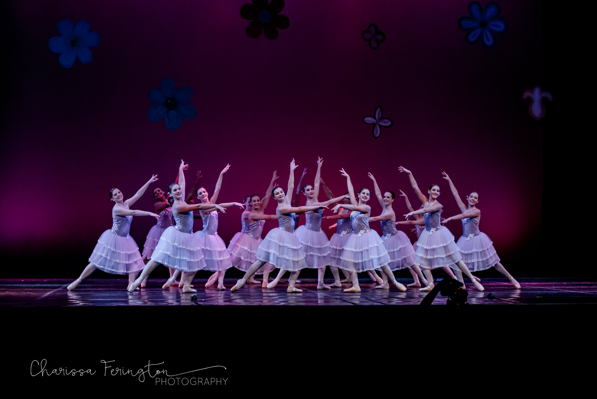 PHOTOS sheffielddance