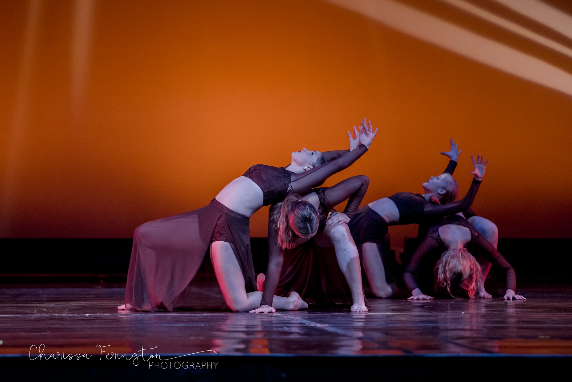 PHOTOS sheffielddance