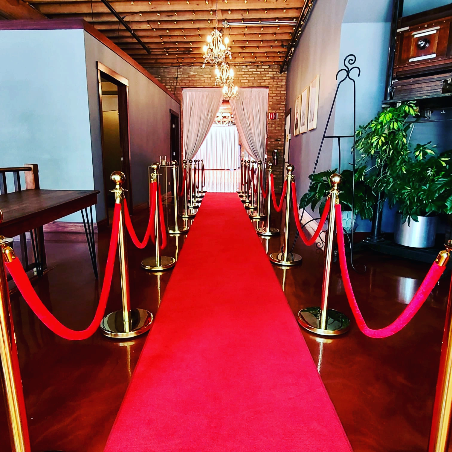 red carpet yellow shoes event renatals