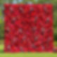 Red Wine_5D Silk Flower Wall by Yellow Shoes Event Rentals.jpg