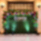 Evanta 12x8 Greenery Wall with Flowers by Yellow Shoes Event Rentals (1).jpg