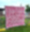 PINK LADY flower wall picture backdrop by Yellow Shoes Event Rentals Elk Grove Village Chi