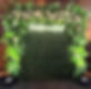 Romance Hedge Wall with flowers picture backdrop for wedding event by Yellow Shoes Event R