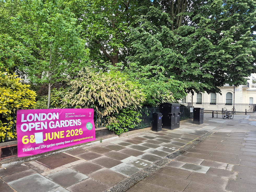 Eaton Square, SW1 Photo by C Ames