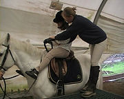 ELISA definitivo.avi_000055159.jpg