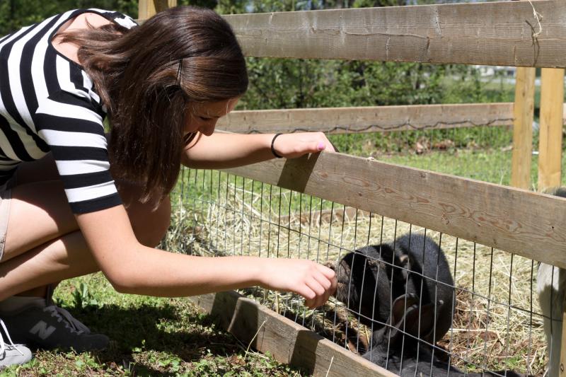 Mobile Petting Zoo in Cobb County, Petting Zoos in Pony Rides