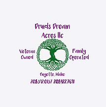Druid dream logo.png