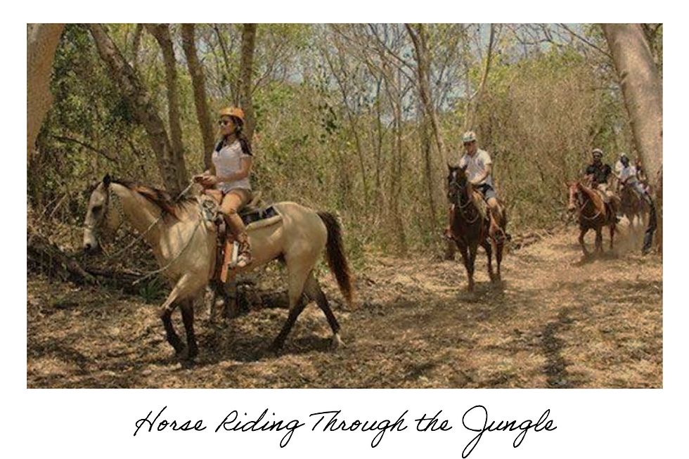Miniatura: The Mayan Horses