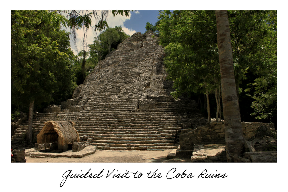Miniatura: Coba - Aldea Maya - Cenote