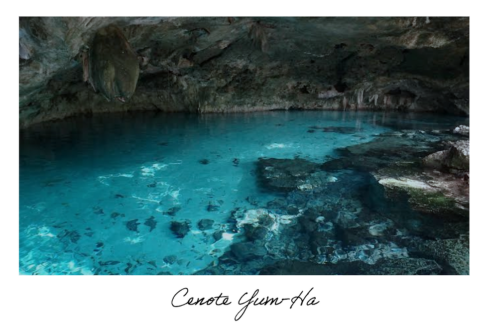 Miniatura: 3 Cenotes