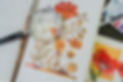 Products-35.jpg