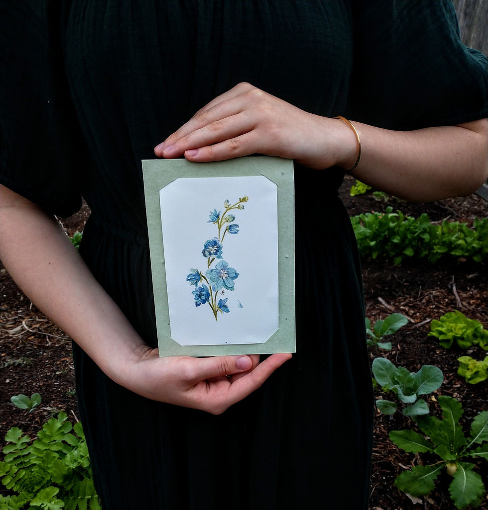 Thumbnail: Watercolor Wildflower and Seed Paper Cards