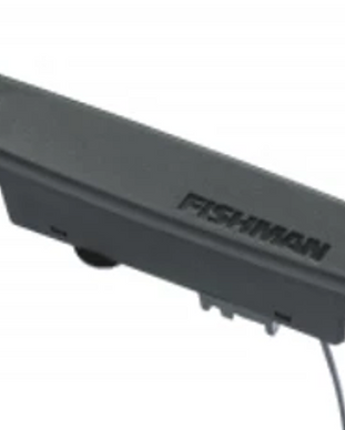 fishman rare earth.png