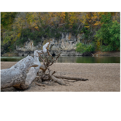 Echoes of the Riverbank