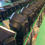 縮圖：1915W/1940W  LED Moving Head With Zoom