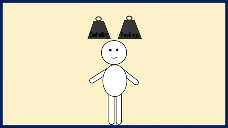 5.gif