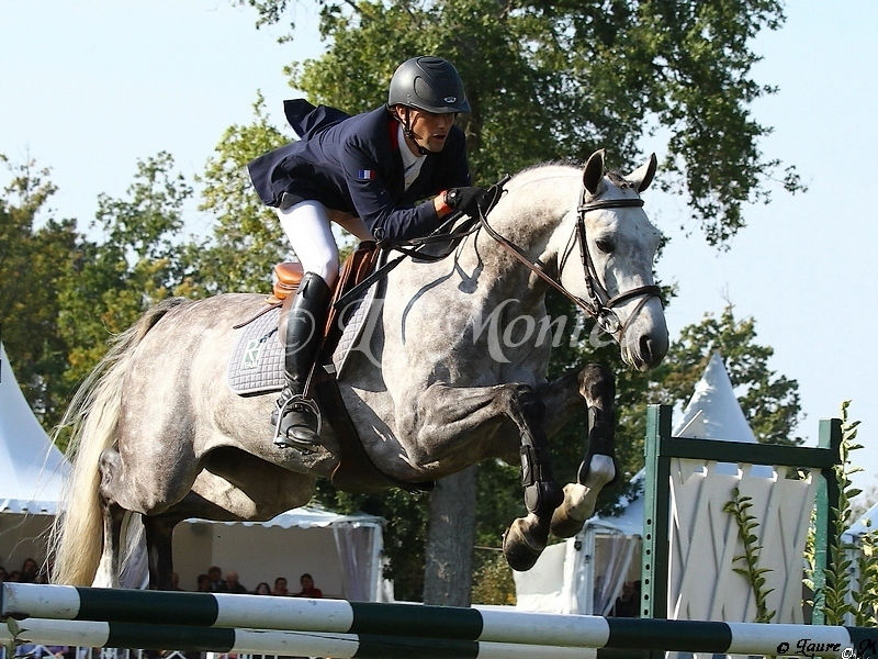 Mondial du Lion 2011