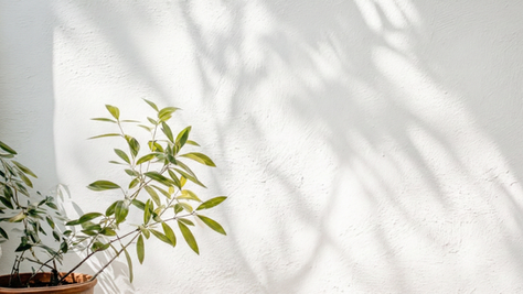 Sadeleşmeye Nereden Başlanır? 