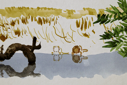 Dessin abstrait de deux lions en train de boire. 