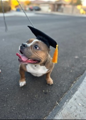 Brida from Britwauna T..jpg