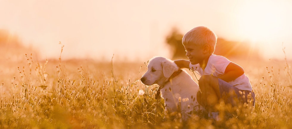 AdobeStock_178401454.jpeg