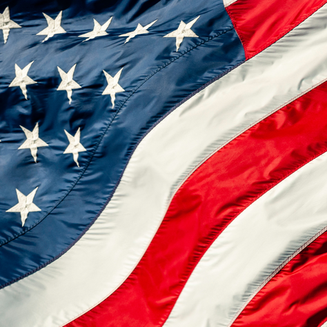 The Great American Disappointment - Blog Post - 365 Days of Shade - Static Image