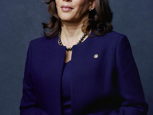 Why Did Kamala Harris Lose: Examining Policy, Strategy, and Public Perception