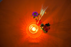 07.06.14 Casamento Monike e Diogenes-333.jpg