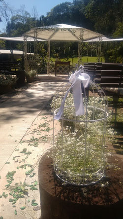 14088642_619114244931702_4215314560417896701_n