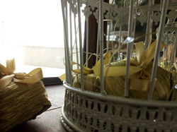 28168356_921673751342415_1502049866487288600_n