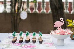 20293102_807650209411437_3820725203202642639_n