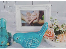 12274478_503380889838372_1062178174901400762_n (1)