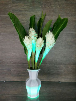 28168325_921672144675909_6564350787928501488_n