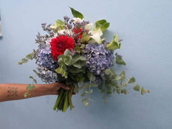 16298563_702714343238358_6605215988942137547_n