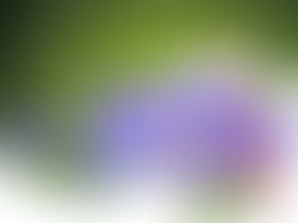 百家樂看路│ 一招教你秒懂大路、珠盤路、大眼仔路、小路、曱甴路(上)