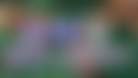 蛤?數學家連百家樂都可以算出來?!