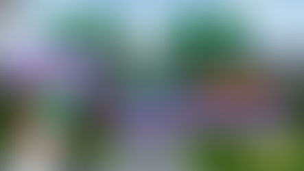 台灣彩券│【539、天天樂】中獎機率到底哪個比較高?