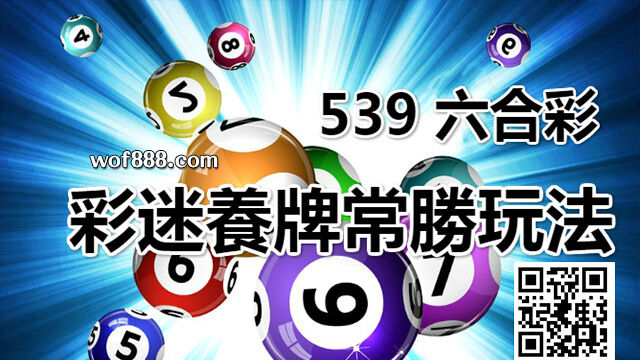 六合彩|如何利用539版路、號碼養牌?