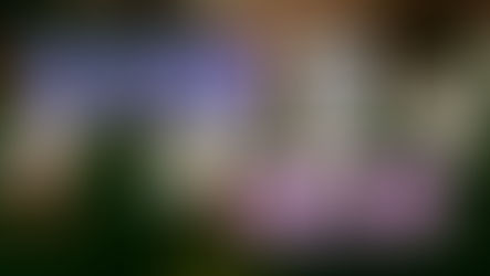 線上真人娛樂│百家樂路&勢怎麼看?