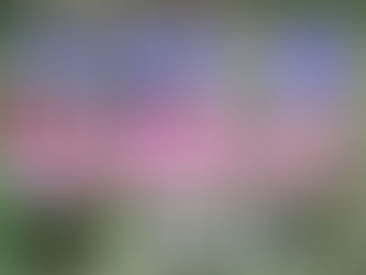 百家樂小贏策略的跟注法技巧怎麼用?