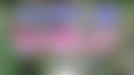 百家樂小贏策略的跟注法技巧怎麼用?