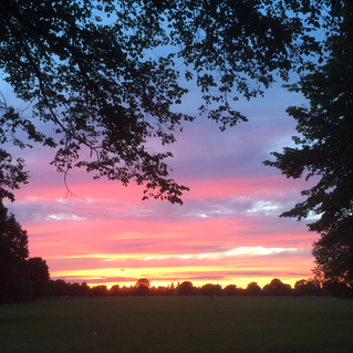 Pink sunset