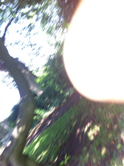 Self portrait in nature