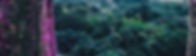 landing_banner.jpg