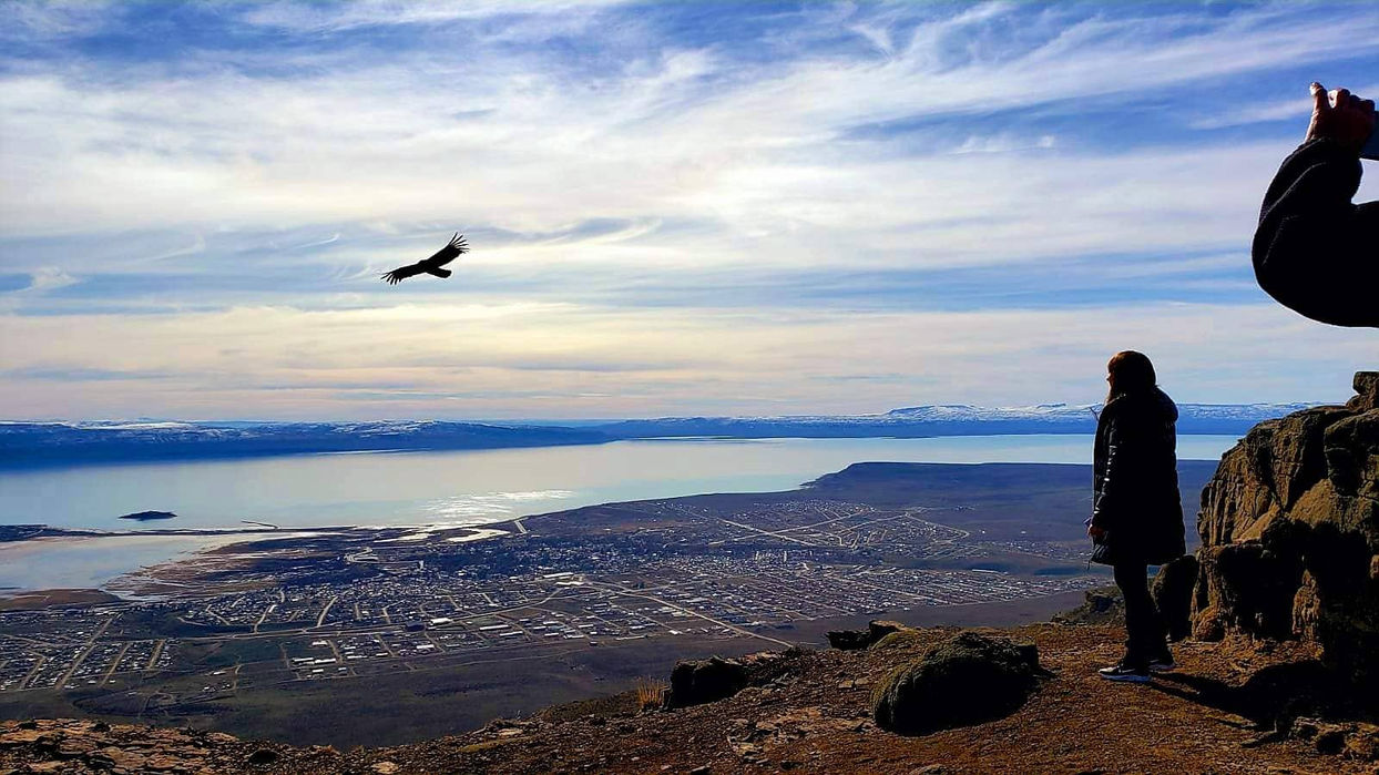 condors_at_el_calafate